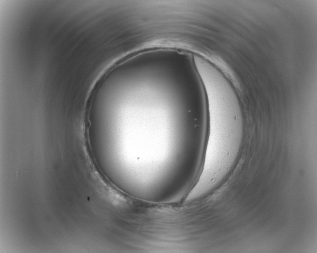 X0000069360896200605121113