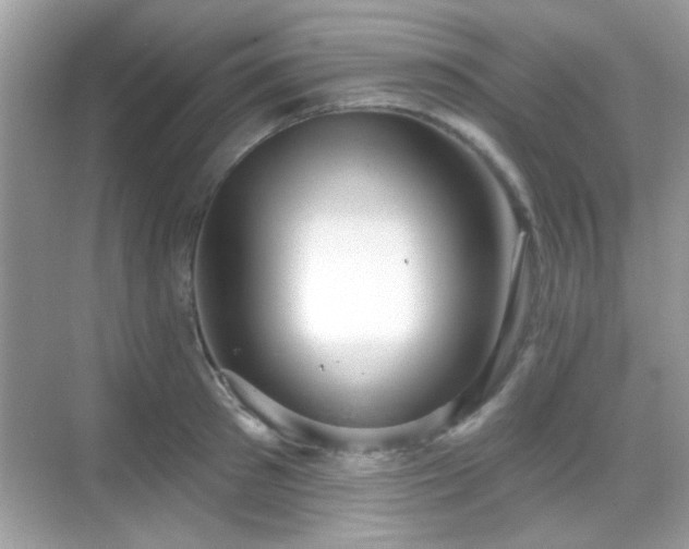 X0000069360897200605121113