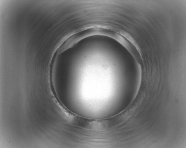 X0000069360898200605121113