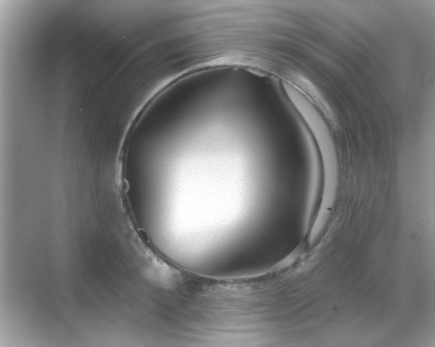 X0000069360900200605121113