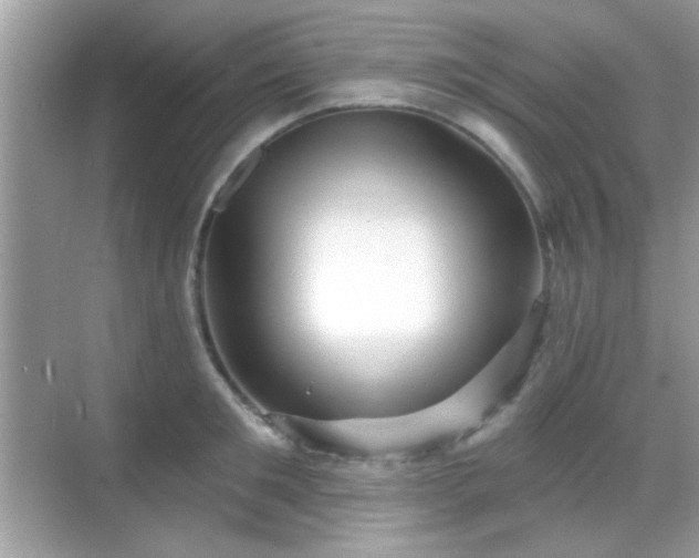 X0000069360901200605121113