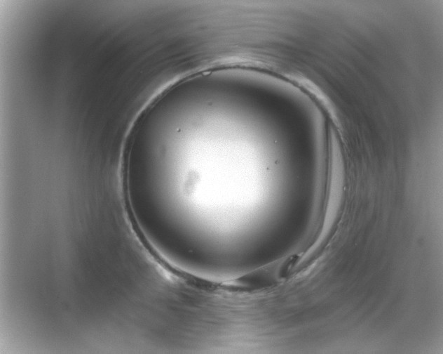 X0000069360902200605121113