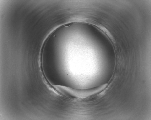 X0000069360904200605121113