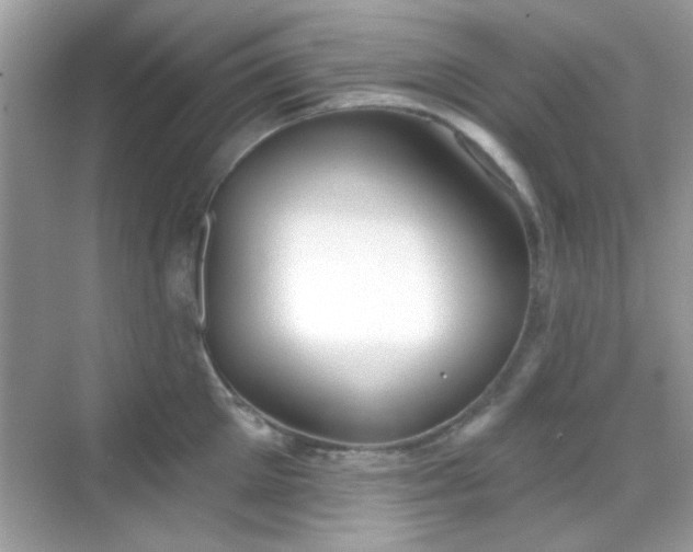 X0000069360905200605121113