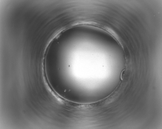 X0000069360906200605121113