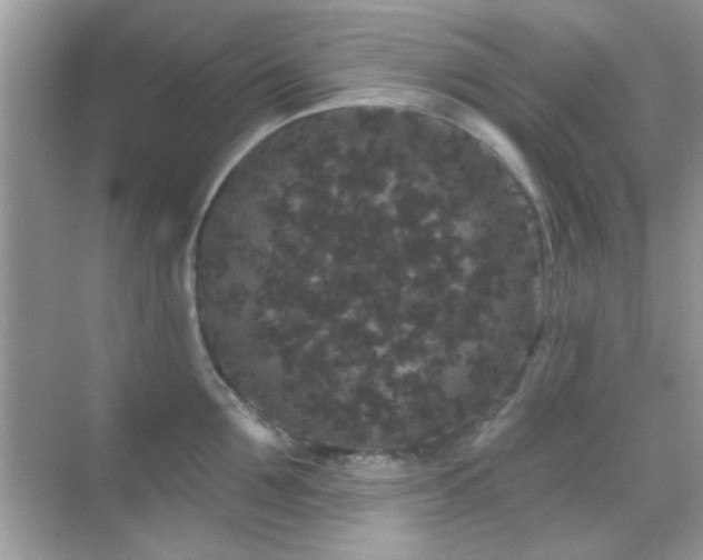 X0000069360907200605121113