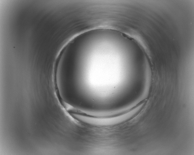 X0000069360910200605121113