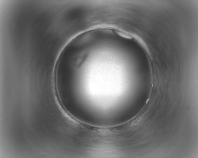 X0000069360911200605121113