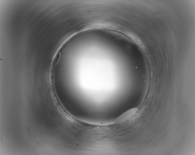 X0000069360912200605121113