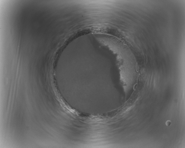 X0000069360913200605121112