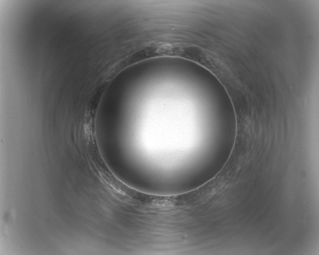 X0000069360914200605121112