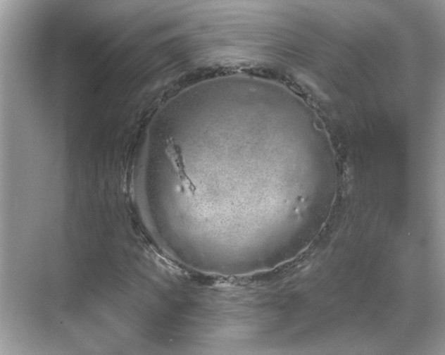 X0000069360917200605121112