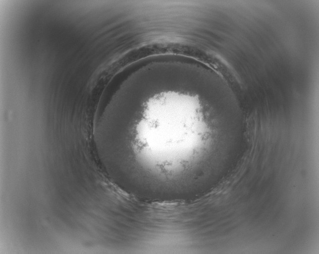 X0000069360919200605121112