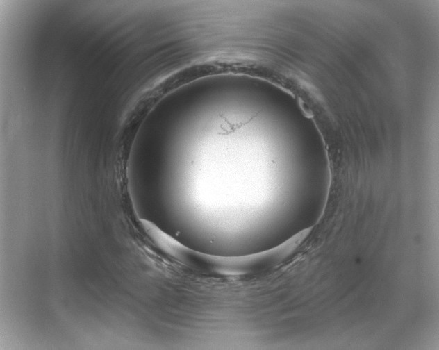 X0000069360920200605121112