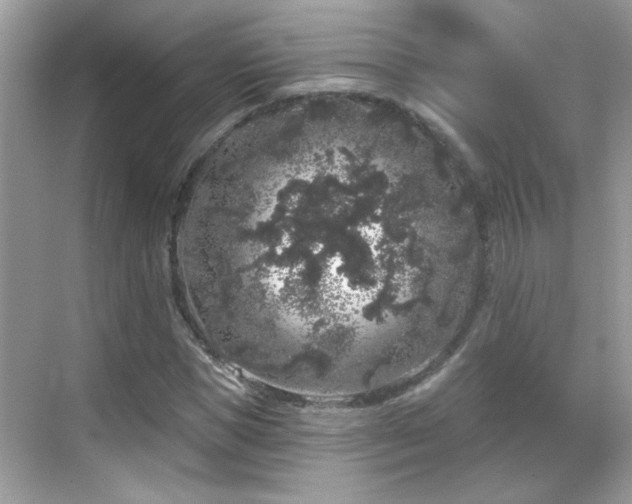 X0000069360921200605121112