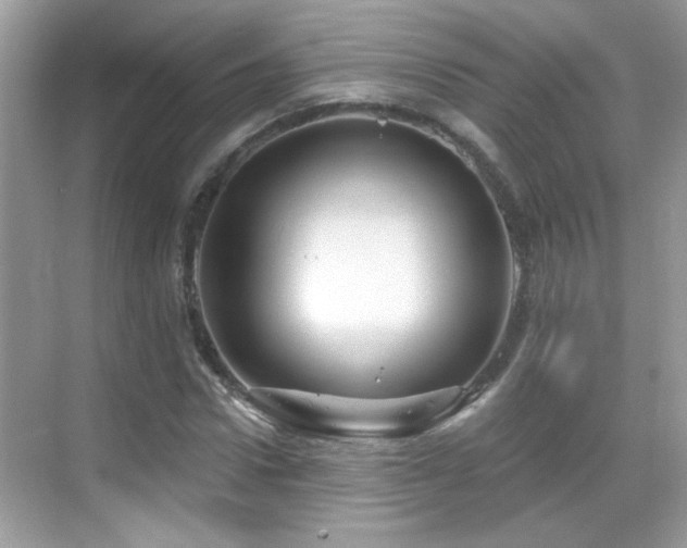 X0000069360922200605121113