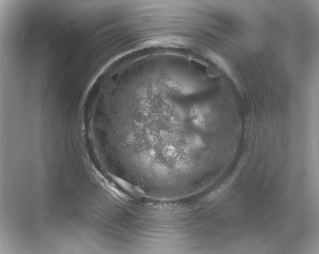 X0000069360923200605121113