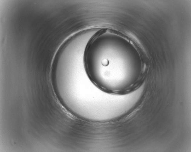 X0000069360924200605121113