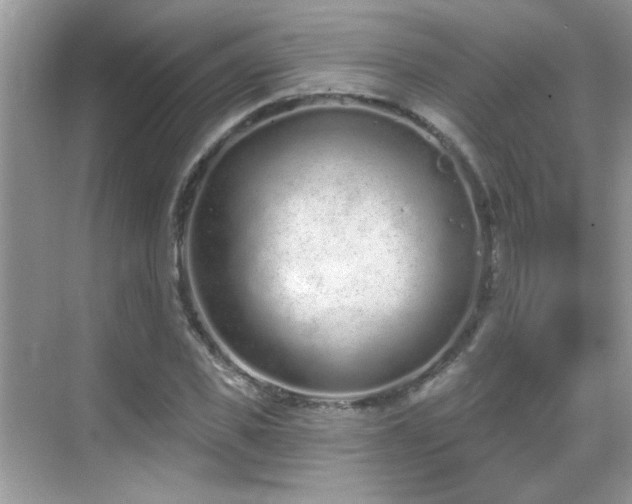 X0000069360925200605121113