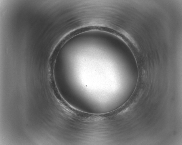 X0000069360926200605121113