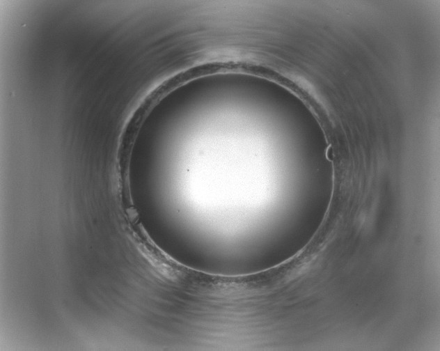 X0000069360927200605121113