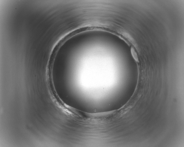 X0000069360928200605121113