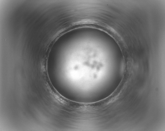 X0000069360929200605121113