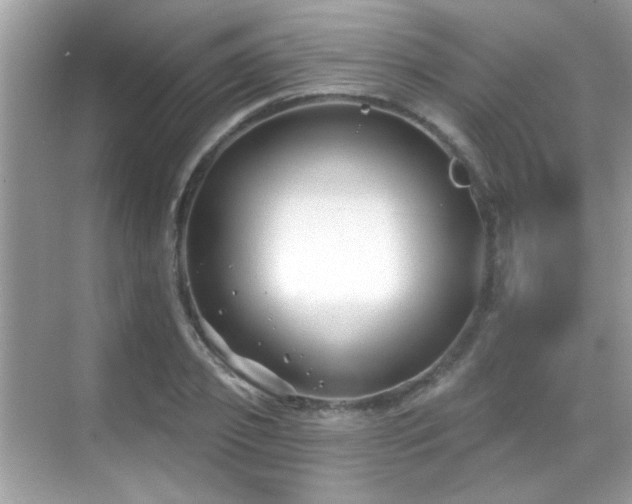 X0000069360933200605121113