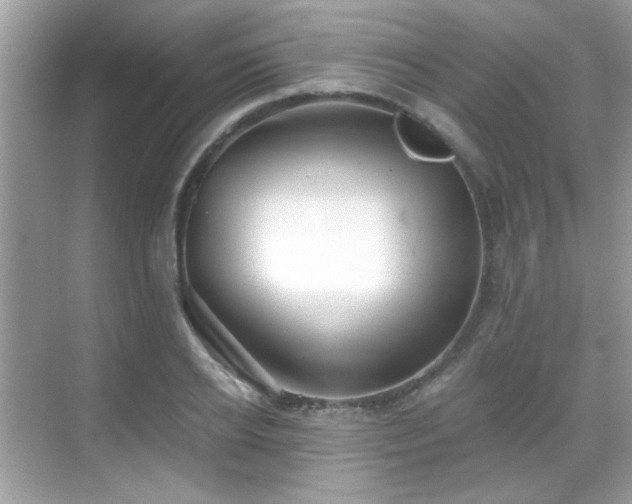 X0000069360934200605121113