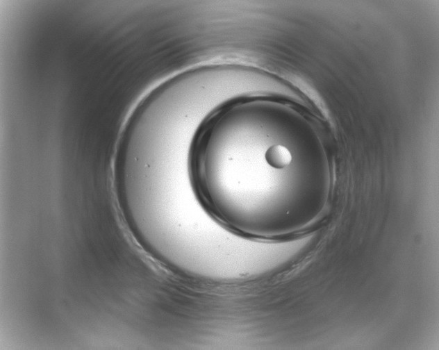 X0000069360936200605121113