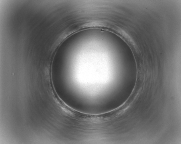 X0000069360937200605121113