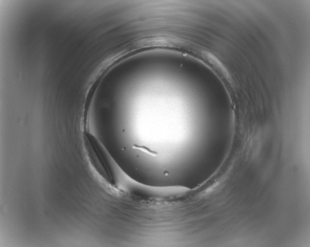 X0000069360938200605121113