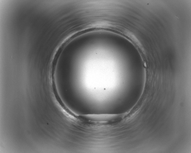 X0000069360939200605121113