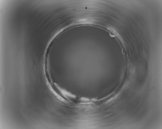 X0000069360941200605121113