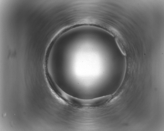 X0000069360942200605121113