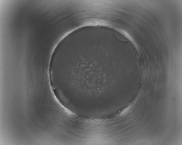 X0000069360943200605121113