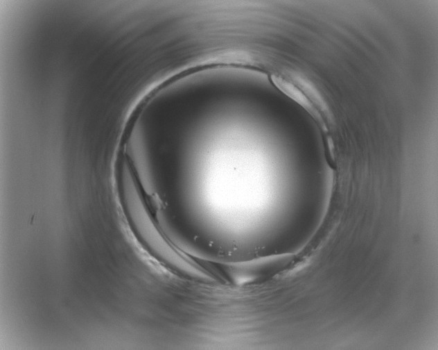 X0000069360944200605121113