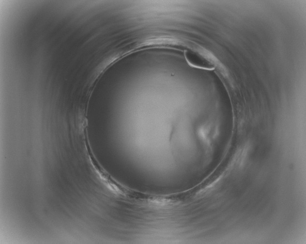 X0000069360945200605121113