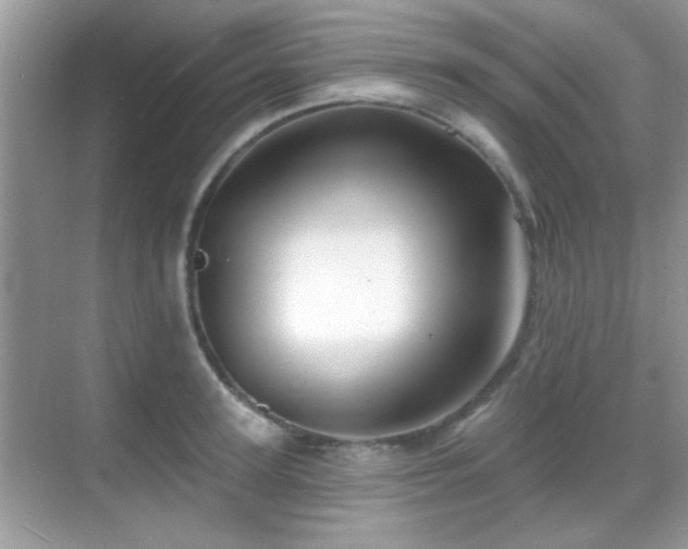 X0000069360947200605121113