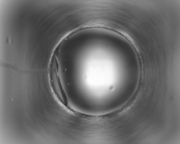 X0000069360949200605121113