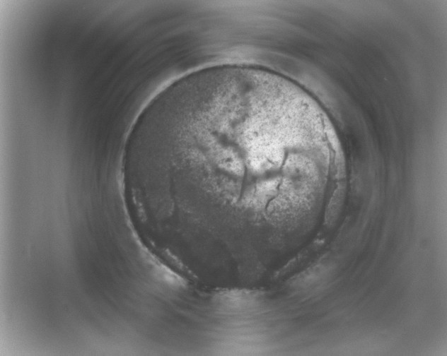 X0000069360950200605121113