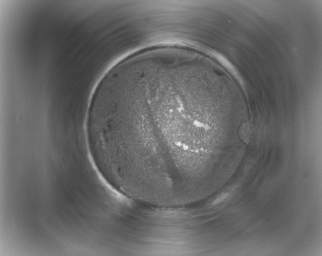 X0000069360951200605121113