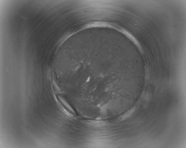 X0000069360953200605121113