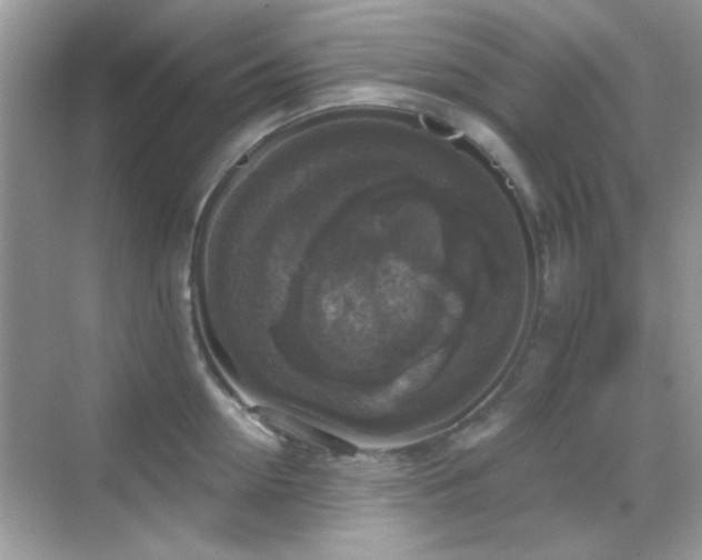 X0000069360954200605121113