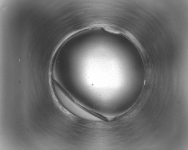 X0000069360955200605121113