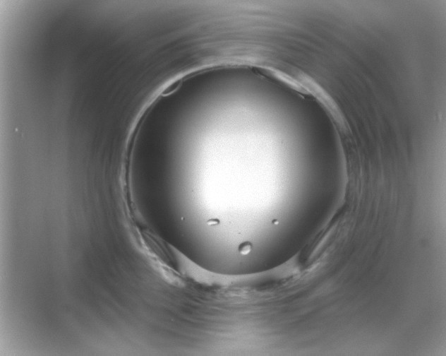 X0000069360956200605121113