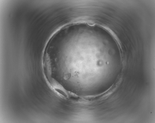 X0000069360957200605121113