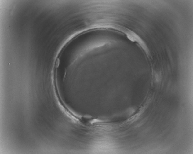 X0000069360958200605121113