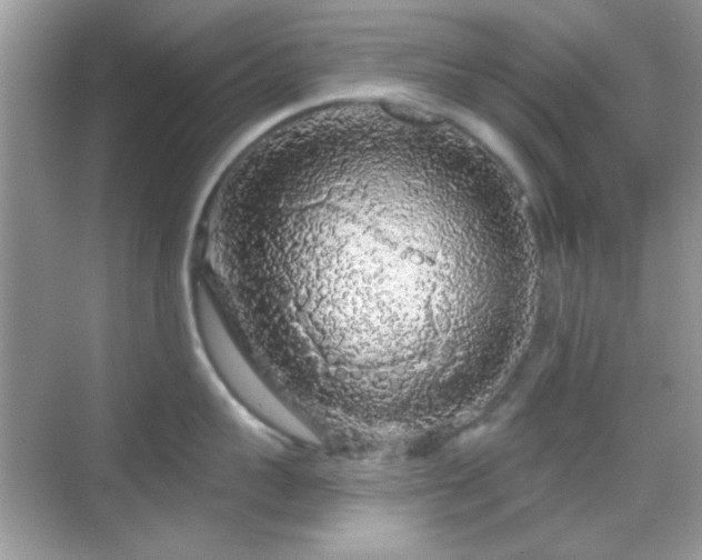 X0000069360959200605121113