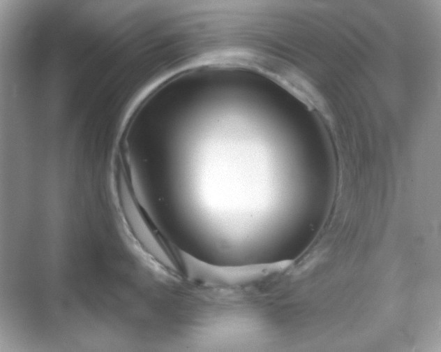 X0000069360960200605121113